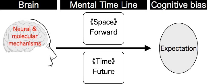 Neural and molecular mechanisms of the mental time line